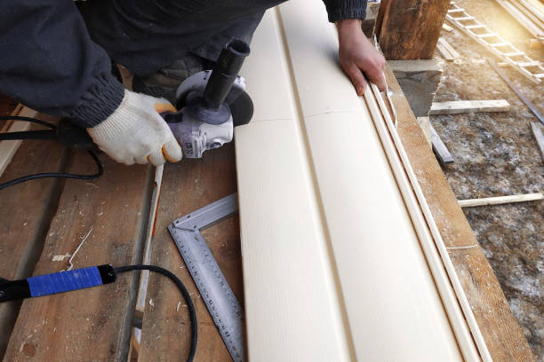 Best Custom Siding Design  in Springfield, NE
