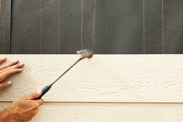 Best Storm Damage Siding Repair  in Springfield, NE