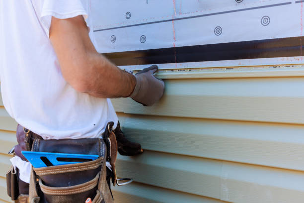 Best Vinyl Siding Installation  in Springfield, NE